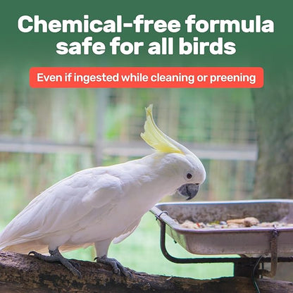 Samorillo Aloe Vera Bird Spray - 8.5oz/251mL - [Made in USA] - Non-Toxic Bird Bath Relieves Dry/Itchy Skin & Softens Feathers - Safe & Effective for All Birds - Promote Healthy Plumage - Odor-Free