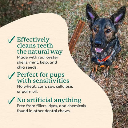Dr. Harvey's Holistix Dental Chews for Dogs - Dog Teeth Cleaning & Fresh Breath Treats, Sweet Potato Mint (24 Sticks)