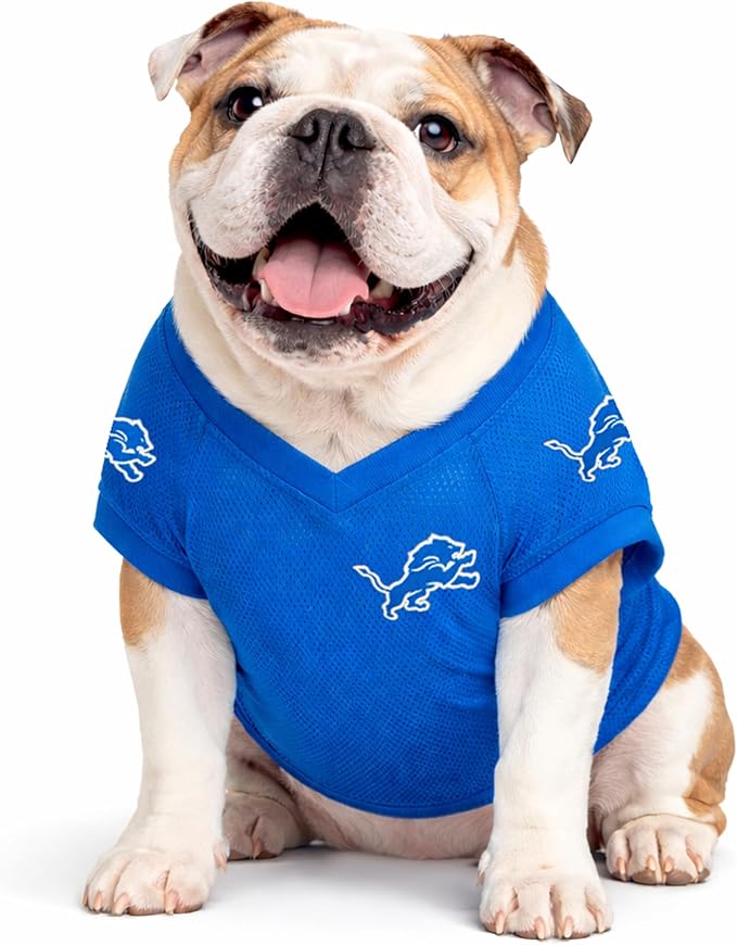 Pets First NFL Detroit Lions Raglan Jersey One Pride - Size Medium. Cutest Football Jersey for Dogs & Cats