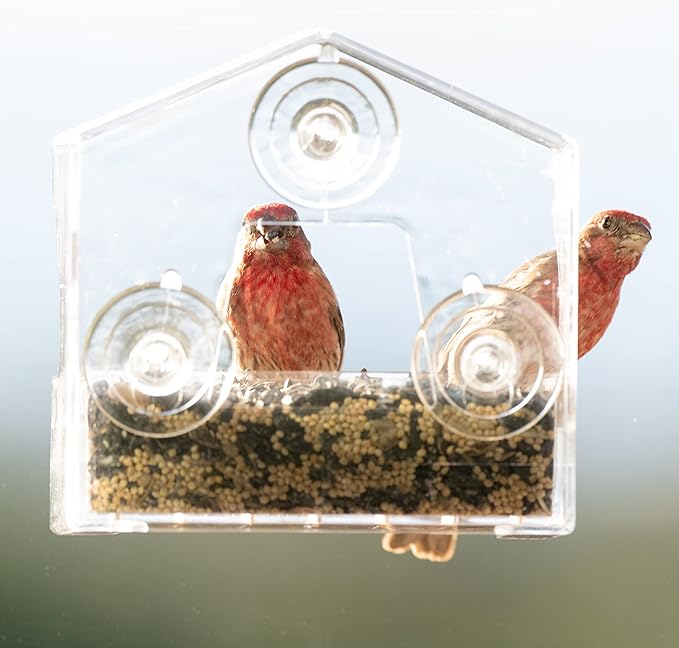 Perky-Pet Clear Outdoor Window Bird Feeder with Strong Suction Cups – 1/2 Lb Seed Capacity - Perky Pet 345 - Entertaining Bird Feeding - Watch Birds Eat Seeds