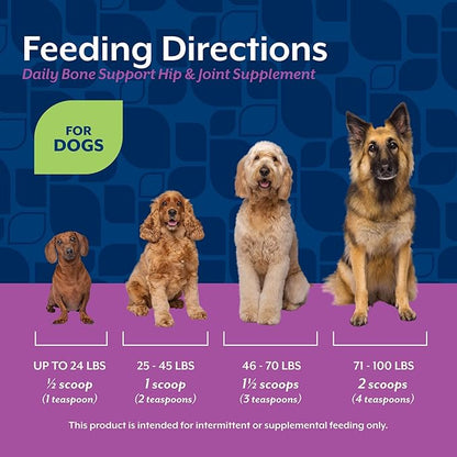 NaturVet Calcium-Phosphorus For Dogs, Supports Strong & Healthy Bones, Enhanced with Essential Minerals & Vitamin D, No Color, 16 Oz