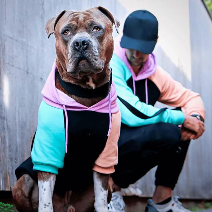 Spark Paws Human Hoodie - Premium Quality, Buttery Soft, Superior Comfort and Fit, Calming Fleece Interior, Suitable for All Styles – Cyber Color Block - L