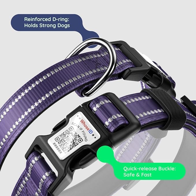 Airtag Dog Collar, Reflective Ultra-Durable Nylon Padded with QR Buckle & IP68 Waterproof Air Tag Holder Compatible for Apple AirTag, Comfortable for Small Medium Large Dogs (Purple,XL)