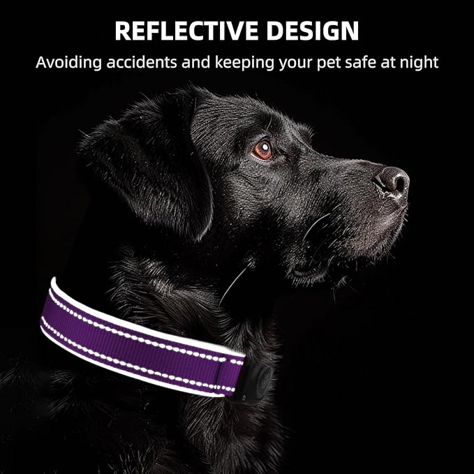 AirTag Dog Collar, IP68 Waterproof Air Tag Dog Collar Holder, Reflective, Ultra-Durable, Comfortable Padded, Heavy Duty Dog Collars for Small Medium Large Dogs (Grape Purple, XL)