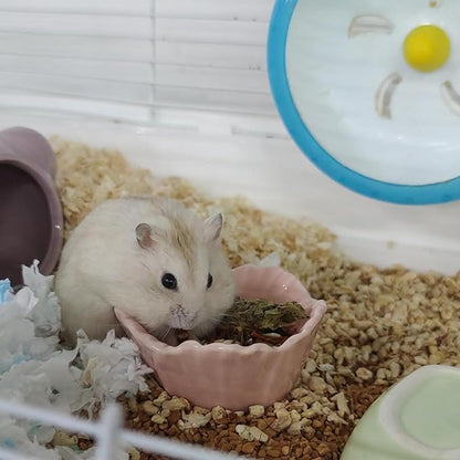 Small Ceramic Hamster Bowl, Easy to Clean Anti Flipping Hamsters Food and Water Bowl, Small Animal Bowls for Dwarf Hamster, Parrots (Pink+Blue, s,2pcs)
