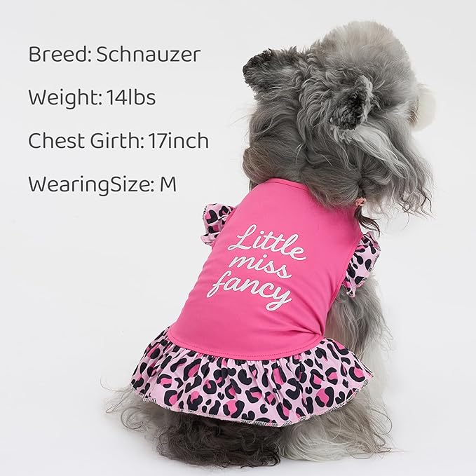 XPUDAC 4 Pack Cute Dog Dress for Small Dog, Floral Pet Clothes Sweet Girl Puppy Dress Colorful for Birthday Holiday Spring Summer Pet Outfits Skirt for Girls, XS