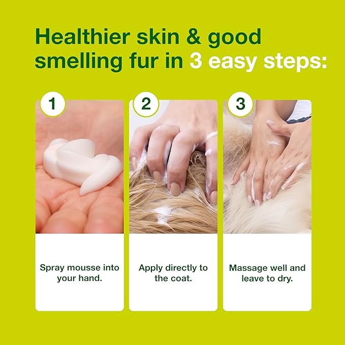 Douxo S3 Seb Mousse, Contains 0.5% Ophytrium, Odor Control & Seboregulating, For Oily to Flaky Skin, Seborrhea, For Dogs and Cats, 5.1 fl. oz. (150mL)