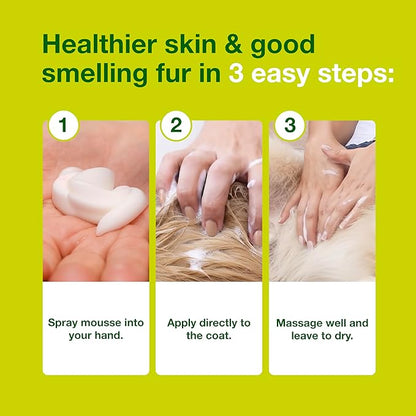 Douxo S3 Seb Mousse, Contains 0.5% Ophytrium, Odor Control & Seboregulating, For Oily to Flaky Skin, Seborrhea, For Dogs and Cats, 5.1 fl. oz. (150mL)