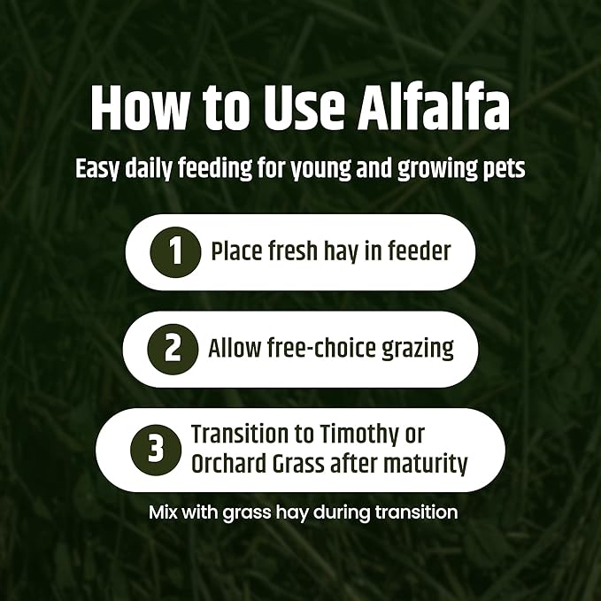 High Desert Alfalfa Hay, Protein Rich Soft Leaf Food for Young Growing Animals, Natural Rabbit Food and Guinea Pig Hay, Supports Digestive Health, Small Pet Supplies, Fresh Hand Packed 1 Lb Box