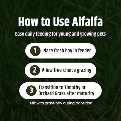 High Desert Alfalfa Hay, Protein Rich Soft Leaf Food for Young Growing Animals, Natural Rabbit Food and Guinea Pig Hay, Supports Digestive Health, Small Pet Supplies, Fresh Hand Packed 1 Lb Box