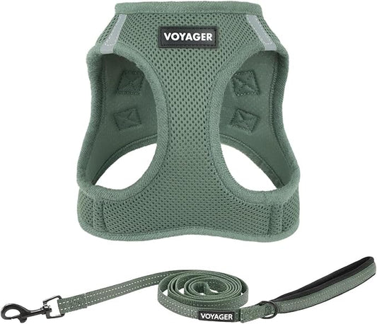 Best Pet Supplies Voyager Step-in Air All Weather Mesh Harness and Reflective Dog 5ft Leash Combo with Neoprene Handle, for Small, Medium and Large Breed Puppies - Set (Moss Green), Small