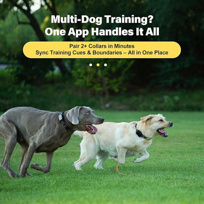 GPS Wireless Dog Collar Fence System - No Monthly Fee App Control, Custom Polygon Boundary & Remote Training, Free Phone Tracker for Up to 5 Pets, Virtual Electric Fence for Dogs