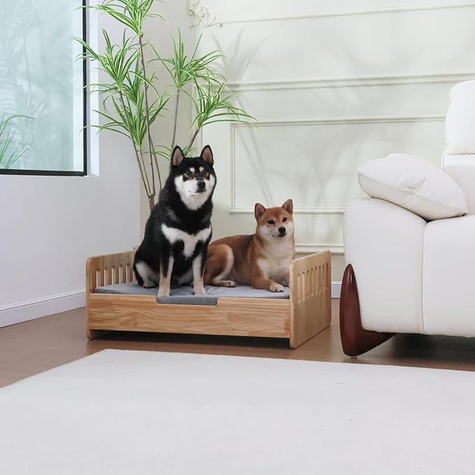 Elevated Dog Bed for Small to Medium Dogs – 32” x 21” Indoor Wooden Pet Sofa with Soft Cushion, Mid-Century Modern Style, Sturdy & Stylish (Natural)