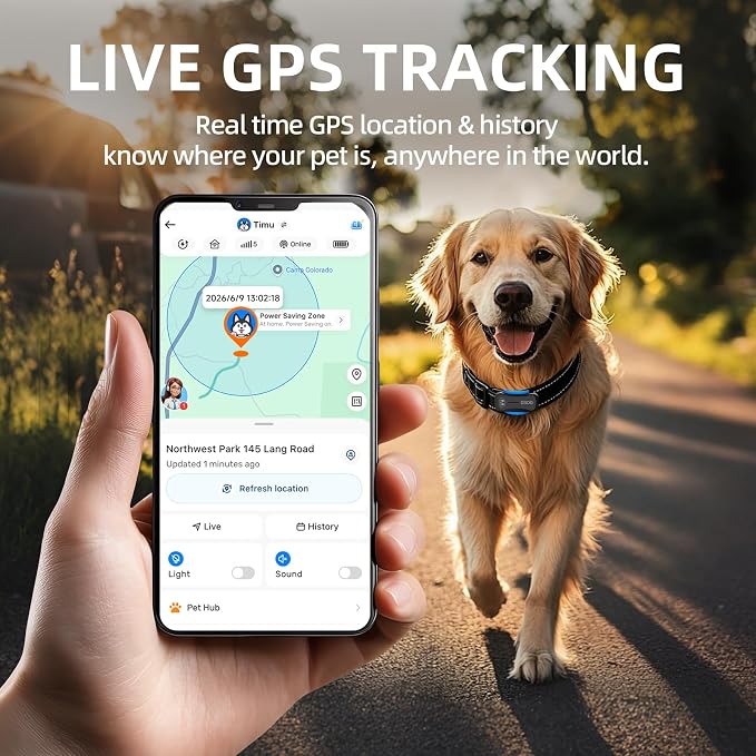 A hand holds a smartphone showing a pet GPS tracking app screen, with a golden retriever dog walking on a sunlit road in the background. Large text at the top reads 'LIVE GPS TRACKING' and says real-time location and history help know where the pet is anywhere in the world.