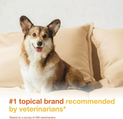 Douxo S3 Pyo Mousse, Contains 3% Chlorhexidine & 0.5% Ophytrium, Antiseptic & Hydrating, for Bacterial or Yeast Skin Infections, for Dogs, 5 fl. oz. (150mL)