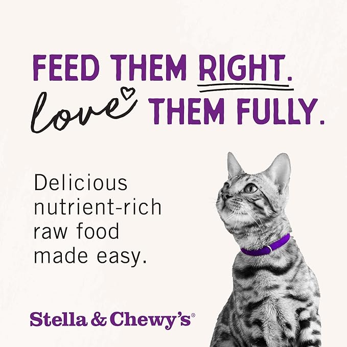 Stella & Chewy's Freeze-Dried Raw Cat Dinner Morsels - Premium Salmon & Chicken Recipe with 98% Wild-Caught & Cage-Free Protein - Natural Grain-Free Cat & Kitten Food - Made in USA - 1 oz