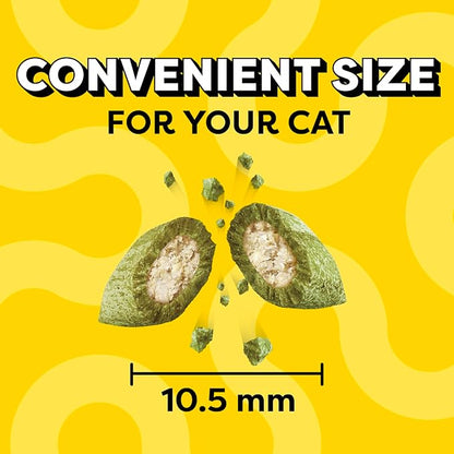 Temptations Cat Treats, Classic Crunchy and Soft Cat Treats, Blissful Catnip Flavor, Catnip Treats, 16 oz. Tub