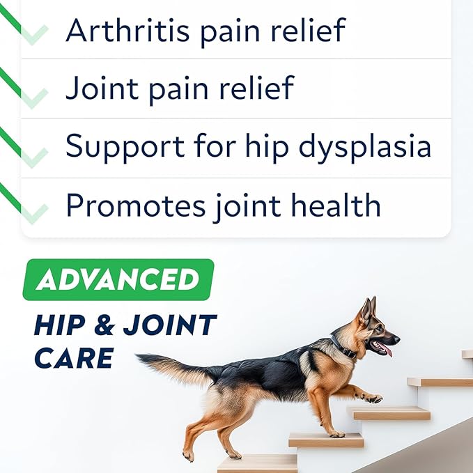 Senior Advanced Glucosamine Joint Supplement for Dogs - Green Lipped Mussel & Collagen - Large Breeds - Hip & Joint Health - Bacon Flavor - 120 Chews