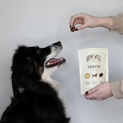 Hemp Well Thrive Chews for Dogs – Supports Hip, Joint, and Heart Health, Promotes Immune Support, Strengthens Skin and Coat, Organically Sourced – 60 Count