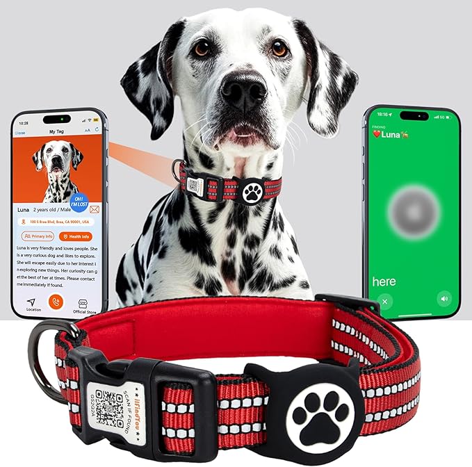 AirTag Dog Collar for Medium Dogs, IP68 Waterproof Air Tag Dog Collar with Apple AirTag Holder, Reflective, QR Code Personalized Dog Tags(Red, Medium)