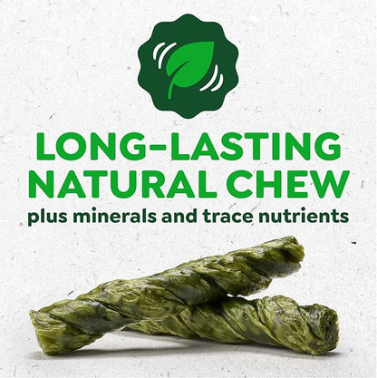 Greenies Occupy Twists Natural Dog Treats Large Breed Size Dog Chews Long Lasting Chicken Flavor, 17.1 oz. Pack, 8 Count