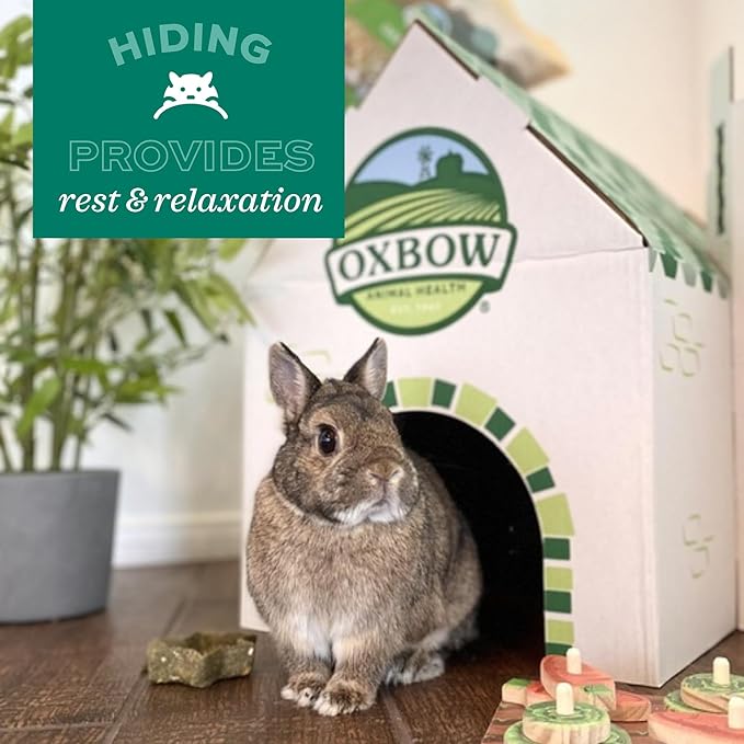 Oxbow Timothy Hay Mat – Edible Habitat Accessory for Rabbits, Guinea Pigs, Chinchillas & Rats – Hand-Woven Natural Mat and Chew, Cage Enrichment for Dental Health, Comfort & Instinctual Play, Medium