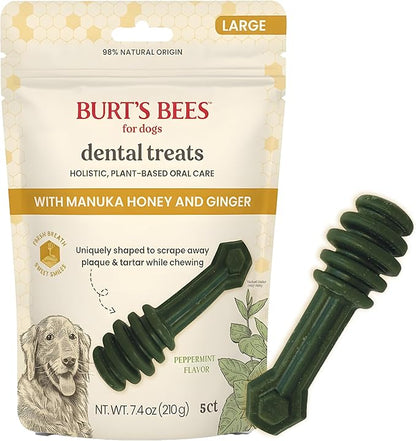 BURT'S BEES FOR PETS Dental Treats for Dogs with Manuka Honey & Ginger, Holistic, Plant-Based Oral Care, 98% Natural Origin Formulas, Peppermint Flavor, Dog Treats Small Dogs, Sz Md/Lg 10ct, 7.7 oz