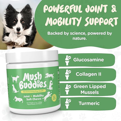 Hip and Joint Supplement for Dogs - Glucosamine for Dogs Plus Chondroitin - Dog Joint Supplement, Vitamins with Collagen, Green Lipped Mussels, Functional Mushrooms, Turmeric, MSM, Salmon Oil - 60 Ct