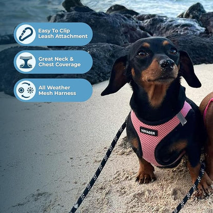 Best Pet Supplies Voyager Step-in Air All Weather Mesh Harness and Reflective Dog 5ft Leash Combo with Neoprene Handle, for Small, Medium and Large Breed Puppies - Set (Pink Base), Small