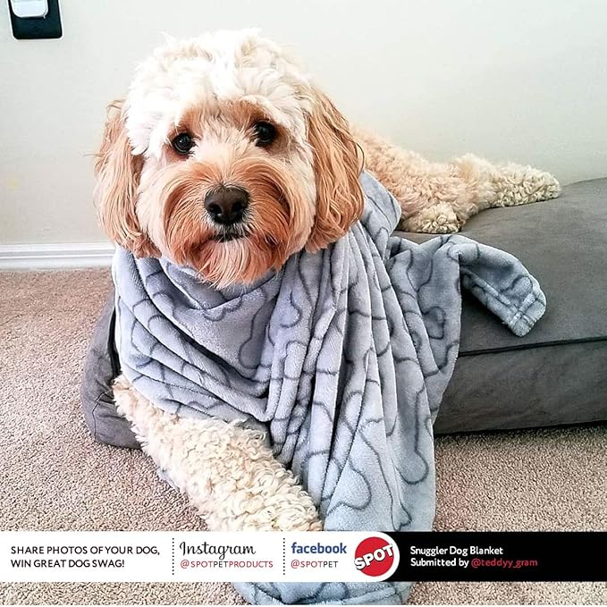SPOT Snuggler Bones Blanket - Ultra Soft, Machine Washable Dog Blanket for Beds, Furniture Protection, Travel, and Crates - 40 x 60 inch, Grey Fleece Throw with Bone Print Design