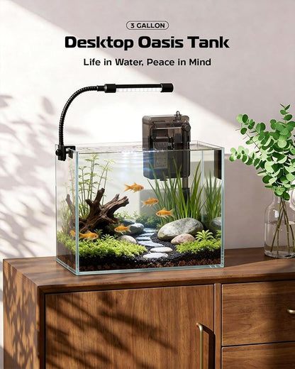 Glass Fish Tank Kit, 3 Gallon Betta Fish Tank Aquarium Starter Kit with Filter, Lights, Lid, for Betta, Goldfish, Small Fish or shrimg，Clear