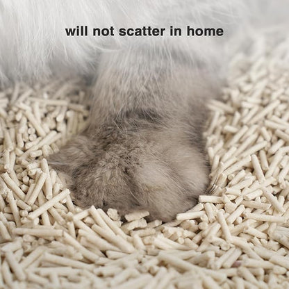 Cat Litter 12LB/2 Packs Dust-Free Clumping Tofu Cat Litter Quickly Absorb Odors Toilet Can Flush Into The Toilet Pure Natural tofu cat Litter (Original Flavor)