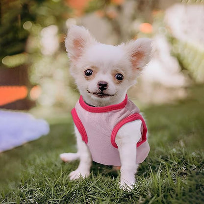 4 Pack Dog Shirt for Small Dogs Spring Summer Printed Puppy Clothes Cute Pet T Shirts Dog Clothes for Small Dogs Cats Girl (Grey+Pink+Purple,Black, Medium)