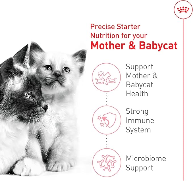 Royal Canin Feline Health Nutrition Mother & Babycat Queen Dry Cat Food, 3 lb Bag