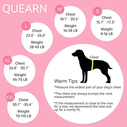 2 Packs Breathable Cotton Dog Recovery Suit for After Neuter Spay Abdominal Wounds Protector, Professional Anti-Licking Onesies for Male Female Pets Surgery Bandages, S Purple & Pink Stripes