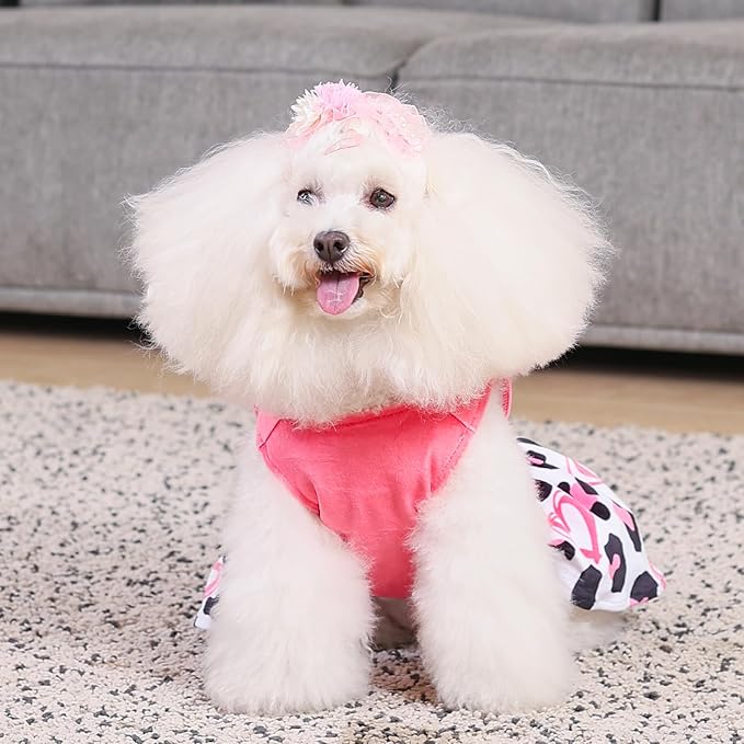 CuteBone Dog Dresses Velvet Mama's Girl Small Dogs Clothes Onesie Pet Apparel Girl Puppy Skirt with Bow Hair Rope CVA40XXS-D