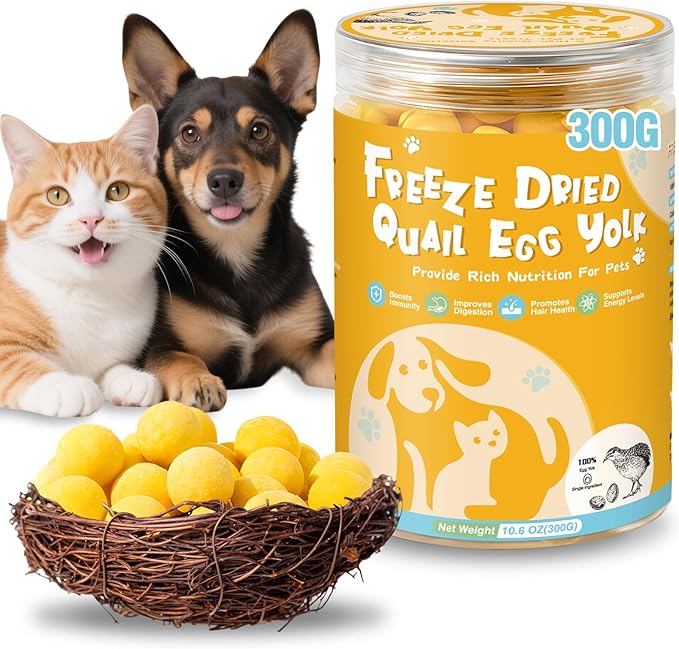 SHANDR 10.6 OZ Freeze Dried Quail Egg Yolk Healthy Pet Treats Food for Dogs Cats Natural Single Ingredient Tasty Freeze Dried Quail Eggs Snack Training Human Grade Free of Grain Gluten Rawhide