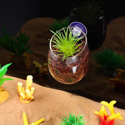 Toddmomy Aquarium Plant Holder 2 Pack with 4 Suction Cups Clear Aquatic Plant Pots for Fish Tank Decoration Betta Resting Spot and Aquascaping Accessory
