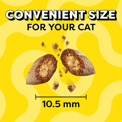 Temptations Cat Treats Classic Crunchy and Soft Cat Treats, Savory Salmon Flavor, 16 oz. Tub