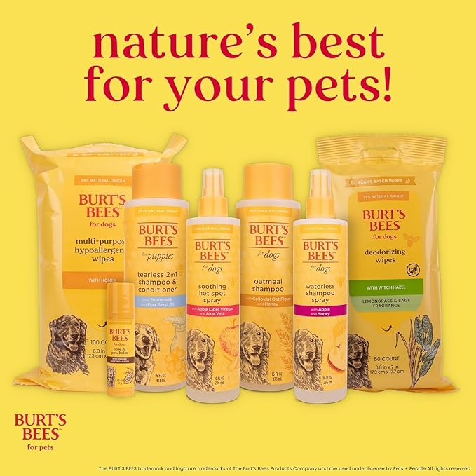 Burt's Bees for Pets Waterless Shampoo Spray for Dogs, Apple & Honey, No-Rinse Dry Dog Shampoo for All Dogs and Puppies, pH Balanced, No Sulfates, Parabens, Phthalates, 10 Fl Oz