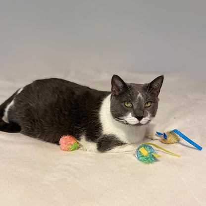 SPOT Stringy Mice & Balls - Catnip Cat Toys, Interactive, Colorful Plush Toys, Fun for Cats and Kittens to Bat and Chase, Boredom Buster - 2 Mice, 2 Balls (Pack of 2)