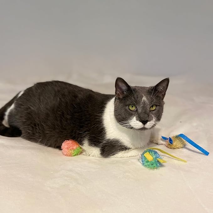 SPOT Stringy Mice & Balls - Catnip Cat Toys, Interactive, Colorful Plush Toys, Fun for Cats and Kittens to Bat and Chase, Boredom Buster - 2 Mice, 2 Balls