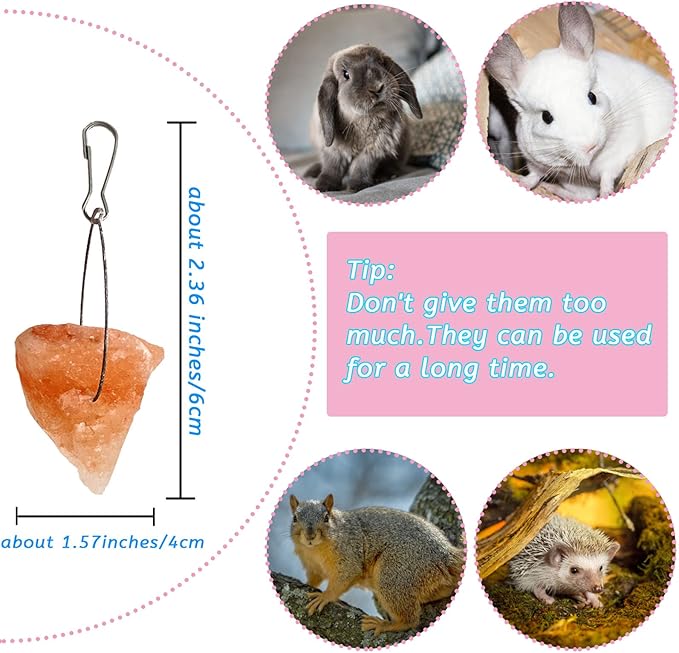PINVNBY 12 Pieces Rabbit Himalayan Salt Lick Block,Pink Small Pets Natural Mineral Salts Blocks with Hook Hanging Small Animals Treat Chew Toys for Rabbits Horses Bunny