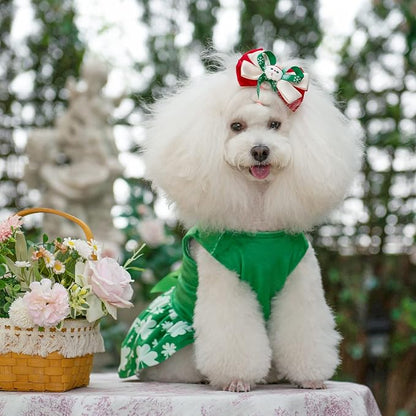 CuteBone St.Patrick's Day Dog Green Dress Velvet for Small Dogs Girl Puppy Dresses Clover Dog Clothes CVA14M-D