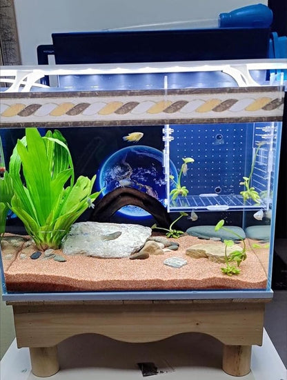 AWXZOM Acrylic Fish breeding Box, Acrylic Fish Isolation Box, Fish Separator for Aquarium, Hatchery Incubator with Suction Cups for Small Baby Fishes Shrimp Clownfish Guppy (5.9 * 5.9 * 5.9inch)