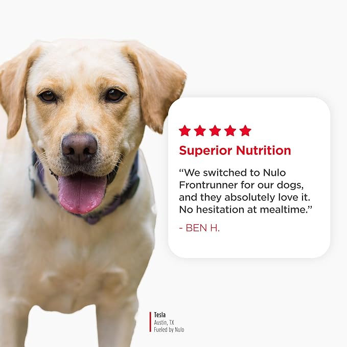 Nulo Frontrunner Dry Dog Food - Adult High-Protein Turkey, Trout & Spelt Recipe, Natural Kibble with Ancient Grains, Probiotics, Taurine, Omega 3 for Small, Medium and Large Breeds, 5lb Bag