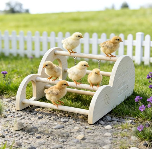 Chicken Perch with Swing & Mirror, Waterproof PVC Roosting Stand for Hens Activity Gym for Chick Toys & Bantams, Durable Easy-Clean Coop and Brooder