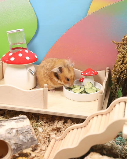 Niteangel Hamster Snack & Treats Toy - Small Animal Natural Treat for Dwarf Syrian Robo Hamsters Gerbils Mice Lemmings Degus or Other Small-Sized Pets
