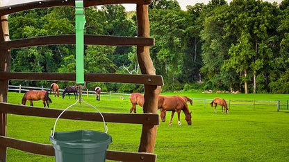Adjustable Nylon Bucket Strap （3 Pack）- for Hay Nets, Water Buckets, Hanging Strap,Horse Outdoor Feeders,Heavy Duty Horse Water Feed, 30" (Fluorescent Green)
