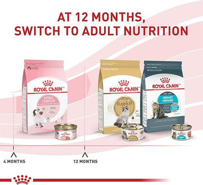 Royal Canin Feline Health Nutrition Kitten Thin Slices in Gravy Cat Food, 3 oz (Pack of 18)